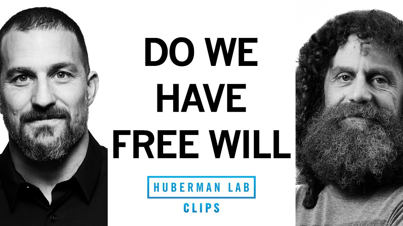 Do We Have Free Will? | Robert Sapolsky & Andrew Huberman