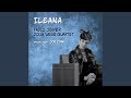 Skylark (feat. Joe Cohn)