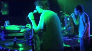 animal collective #1