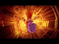 Winx Club Season 5 and 6: Love Is A Miracle ...