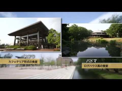 立正大学 紹介ムービー 今日のあなたを明日につなぐ ～「毎日」をつなぐ　品川キャンパス編・熊谷キャンパス編～
