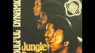 SOULFUL DYNAMICS  Jungle people