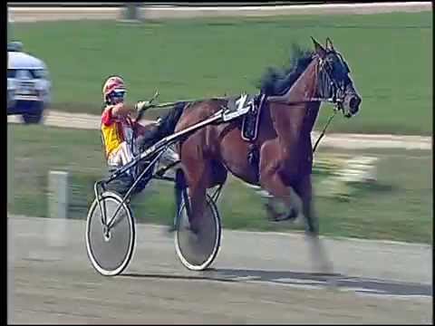 Trotto 23/09/2016 - 1ª corsa