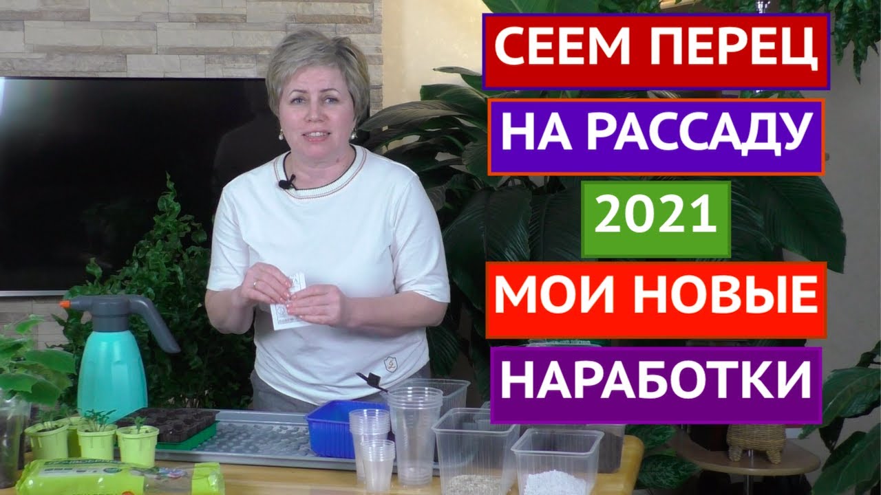 Главные правила посадки перца на рассаду! Выполните их, и урожай вам обеспечен!