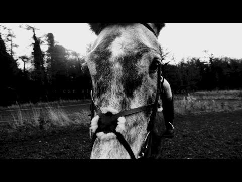 "I can still hear that whisper"