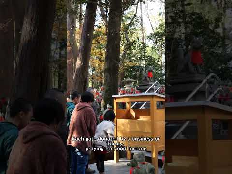 Fushimi Inari Shrine