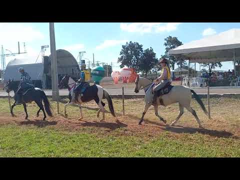 Égua de Marcha Batida.  IV COPA DE CÓRREGO FUNDO-MG. 