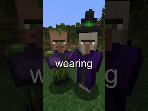 What Is The Swamp Villager In Minecraft?