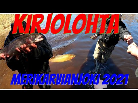 Kirjolohta | Jasu salama | spintube | Merikarvianjoki | Kalastus 2021