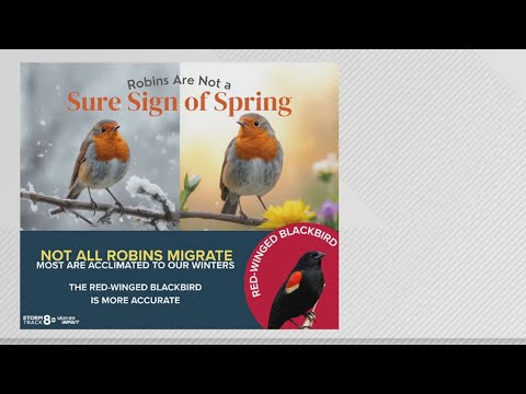 Ask Andrew | Are large flocks of robins a sign spring is near?