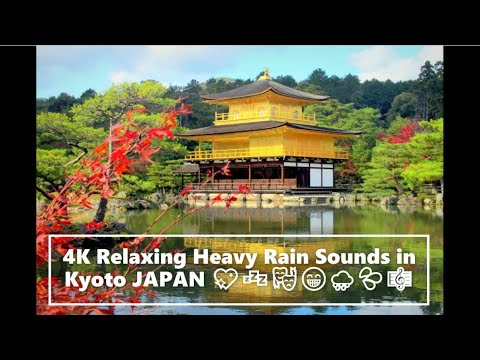 4K Relaxing Heavy Rain Sounds in Kyoto JAPAN