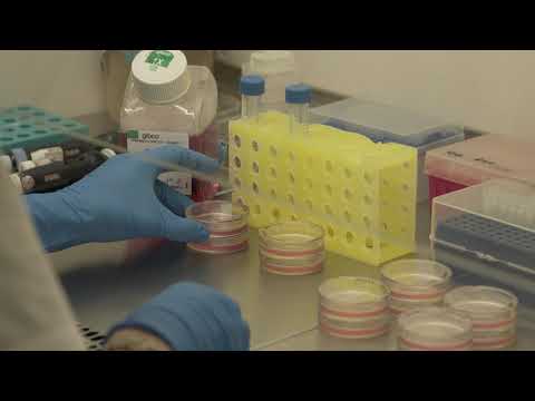 Oncologia Medica: la Scuola di specializzazione del Dipartimento di Area Medica si presenta