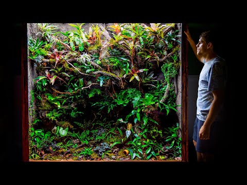 Giant DIY 600 Gallon Jungle Vivarium