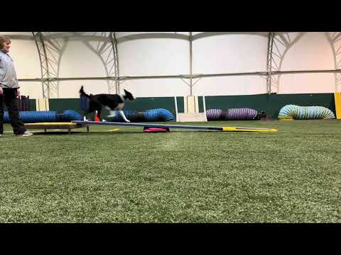 Jaydee plank with directionals