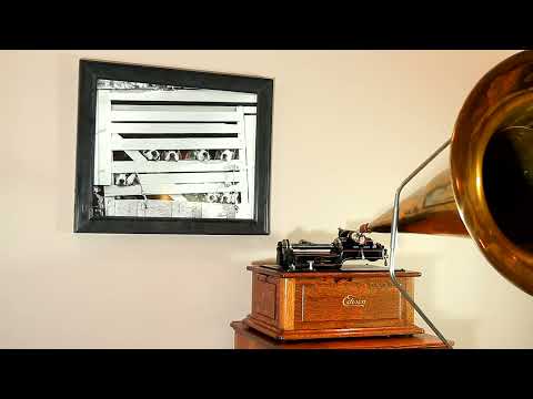 Foxtrot, "Egyptland" by Green Brothers Novelty Orchestra, Edison Blue Amberol Cylinder Record #3802