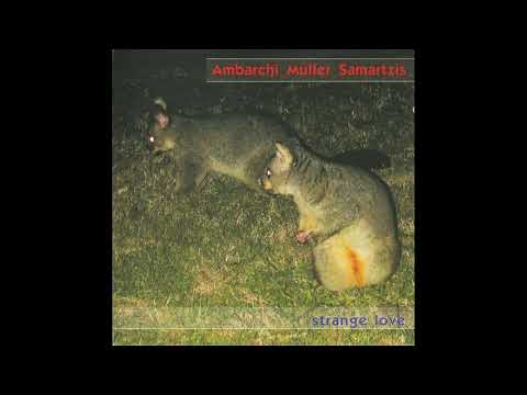 Oren Ambarchi, Günter Müller, Philip Samartzis - Strange Love (2004) [FULL ALBUM]