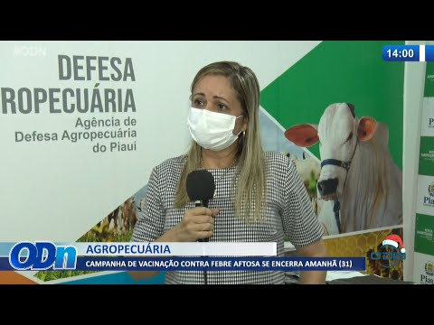 Campanha de vacinação contra Febre Aftosa segue no Piauí até fim de Dezembro 30 12 2021