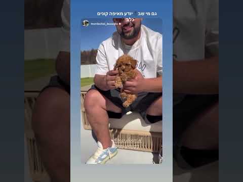 סרטון לקוחות