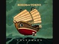 Birds of Tokyo - White Witch 