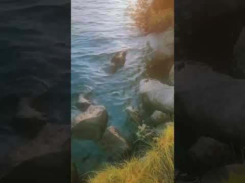 Summer Ends - 1:30-Edit - 2024-08-11 - Skörjesjön - Backaryd - Ronneby - Blekinge #johnprine