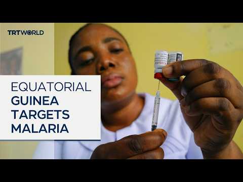 Equatorial Guinea aims to eradicate malaria by 2030