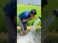 Junior NTR Aadi Movie