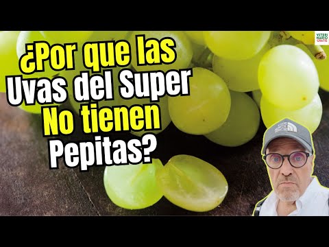 🍇❌ WHY DON'T GRAPES FROM THE SUPERMARKET HAVE SEEDS?🍇❌🟢