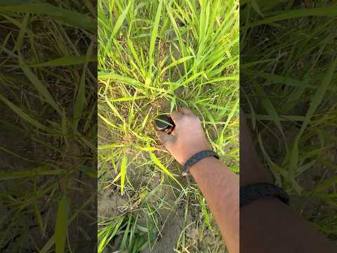 Mini speaker jumping test ￼