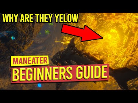 ULTIMATE BEGINNERS GUIDE - MANEATER