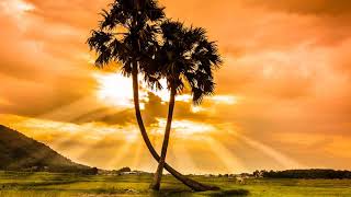 Broken Home - Oh Yeah