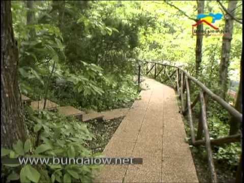 Sassetta, Italy Holiday Homes