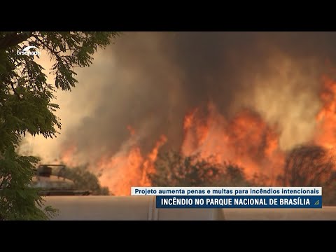 Projeto aumenta pena e multa para incêndios intencionais