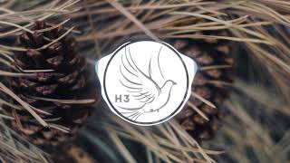 Social Club Misfits- Say Goodbye (Instrumental)