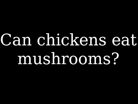 Can chickens eat mushrooms and fungi