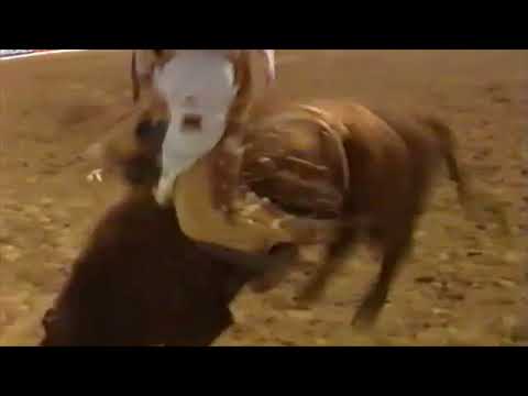 Easy Street bucks Danell Tipton - 08 CBR Fort Worth