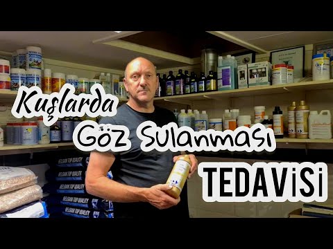, title : 'Kuşlarda Göz Sulanması Tedavisi!?'