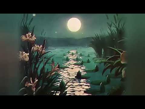 🐸 ZUNTATA - Flossy Feelin'