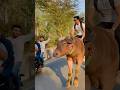 College Ja Raha Hu Reaction Shorts Viral Publicreaction