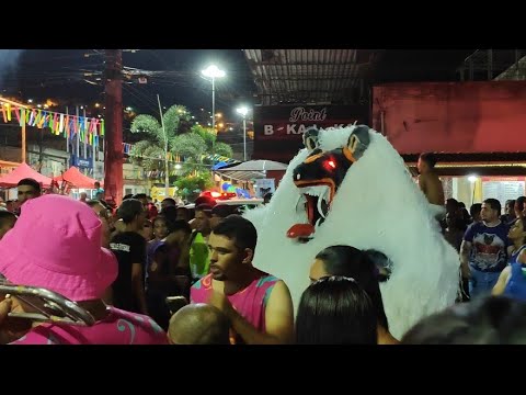 Carnaval 2026 Ribeirão-Pe | Urso do Bairro Novo