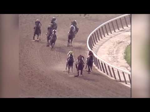 Andy and the Mig - 1989 Belmont Stakes