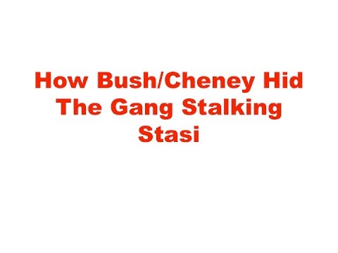 How Bush/Cheney Hid The Gang Stalking Stasi - 5/3/2015