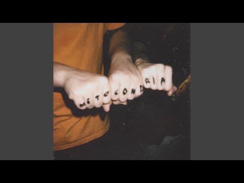 Lord Bumbum Mole - Mitocôndria