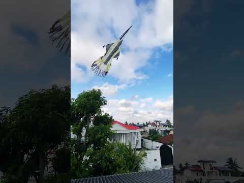 Monara Kite rooftop #kite #sarungal #monara