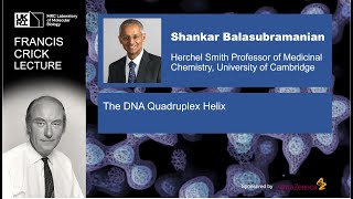 Crick Lecture 2025: The DNA Quadruplex Helix by Shankar Balasubramanian