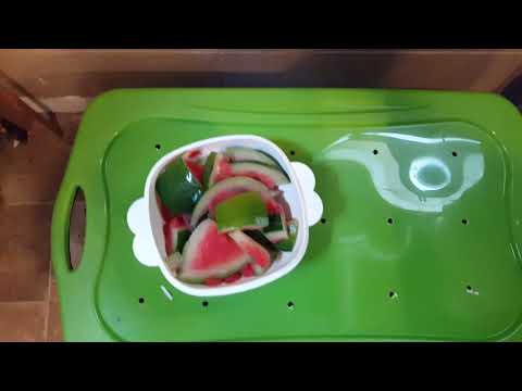 Do Worms Eat Watermelon