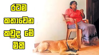 රටම කතාවෙන කවුද මේ මිකී