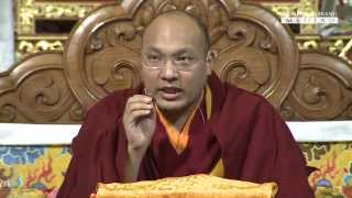 第十七世法王噶瑪巴開示《解脫莊嚴論》4/11