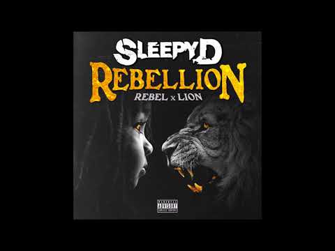 Sleepy D   11 Trouble feat  D Lo & Jhollow