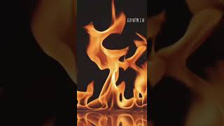 הרב שלום סבג – טרם אענה אני שוגג ✨