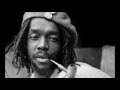 Peter Tosh - Reggaemylitis